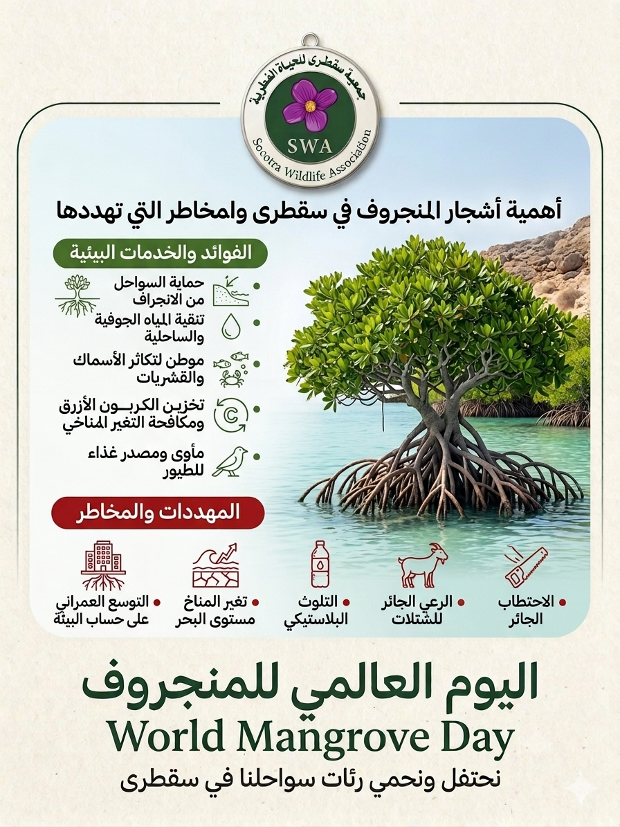 صورة: اليوم العالمي لأشجار المانجروف 